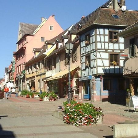Appartamento Maison Bleue Saverne Esterno foto