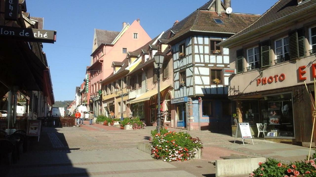 Appartamento Maison Bleue Saverne Esterno foto